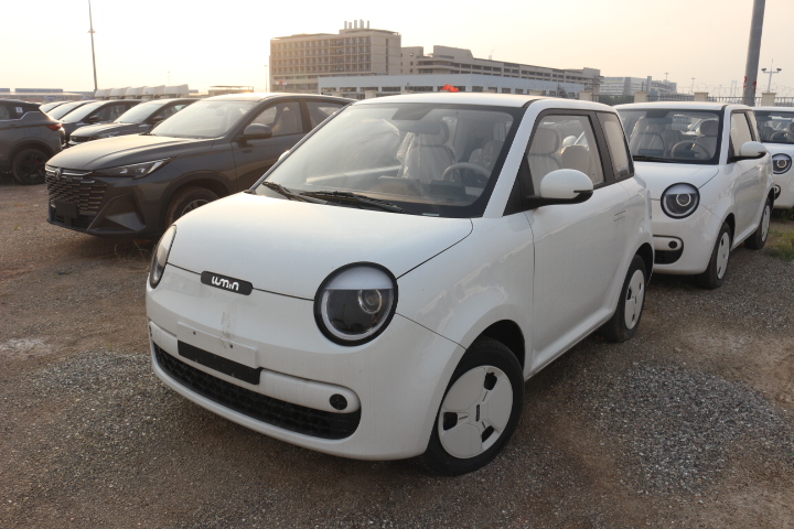 Changan Lumin