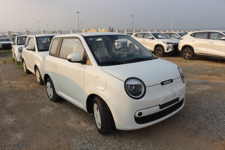 Changan Lumin