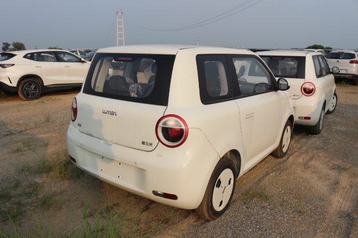 Changan Lumin