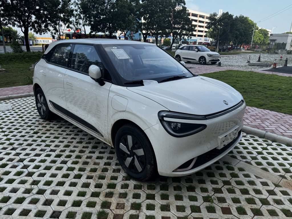 Dongfeng Nammi 01