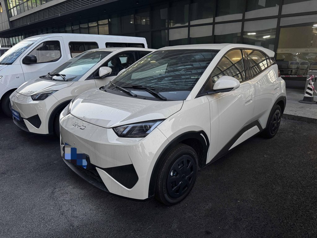 BYD Dolphin 2026 Pure