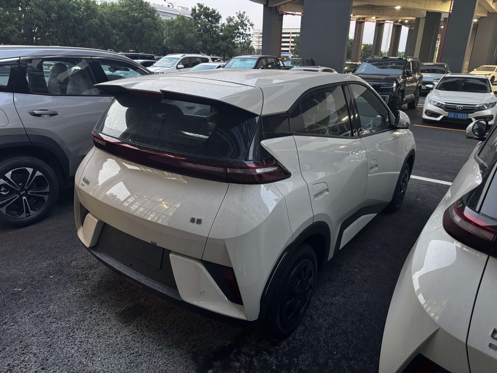 BYD Dolphin 2026 Pure