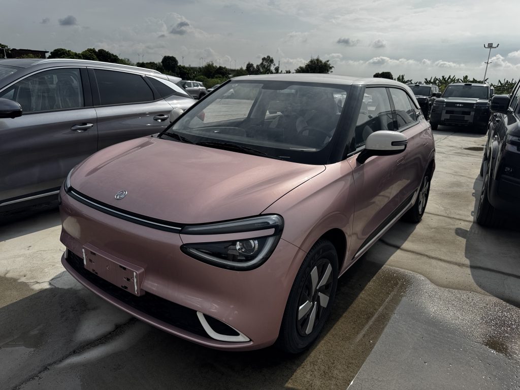 Dongfeng Nammi 01