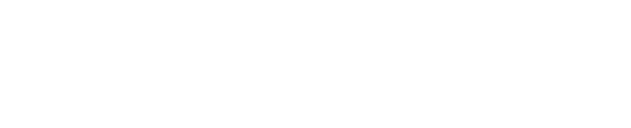Norbecon Auto Export