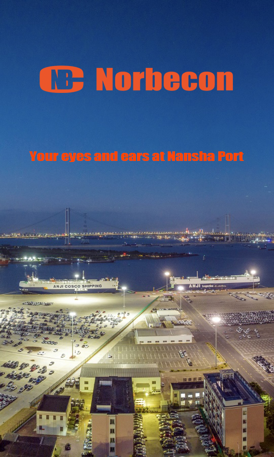 Avoid Import Scams: Vehicle Inspection Before Shipment at Nansha Port