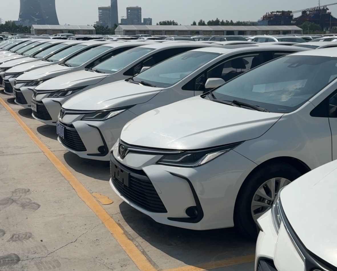 The Truth About $2,000 Toyotas: A Nansha Port Insider Warns Buyers